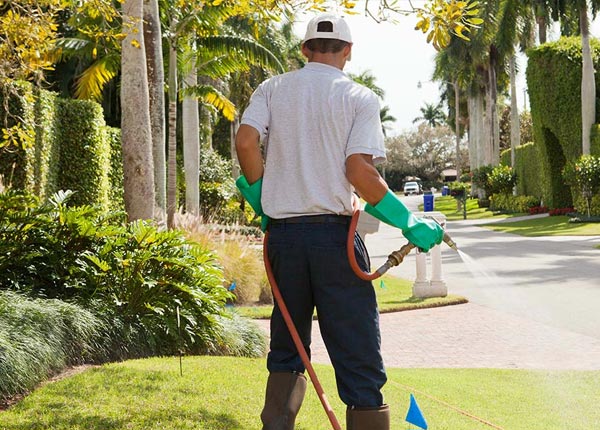 About Cliffwood NJ Pest Control Pros